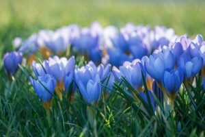 [테스트 기사] 인천매일신문 메인 레이아웃 테스트 글입니다 – 1