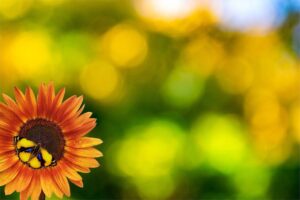 [테스트 기사] 인천매일신문 메인 레이아웃 테스트 글입니다 – 30