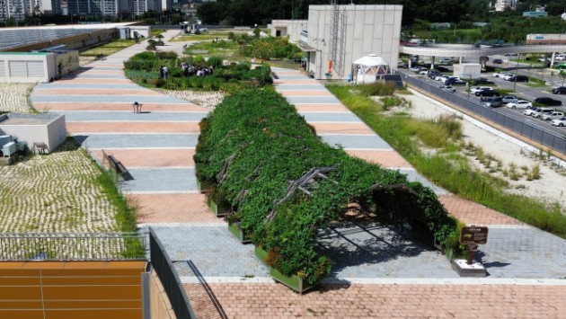인천시, 남촌농산물도매시장 옥상텃밭 프로그램 참여자 모집