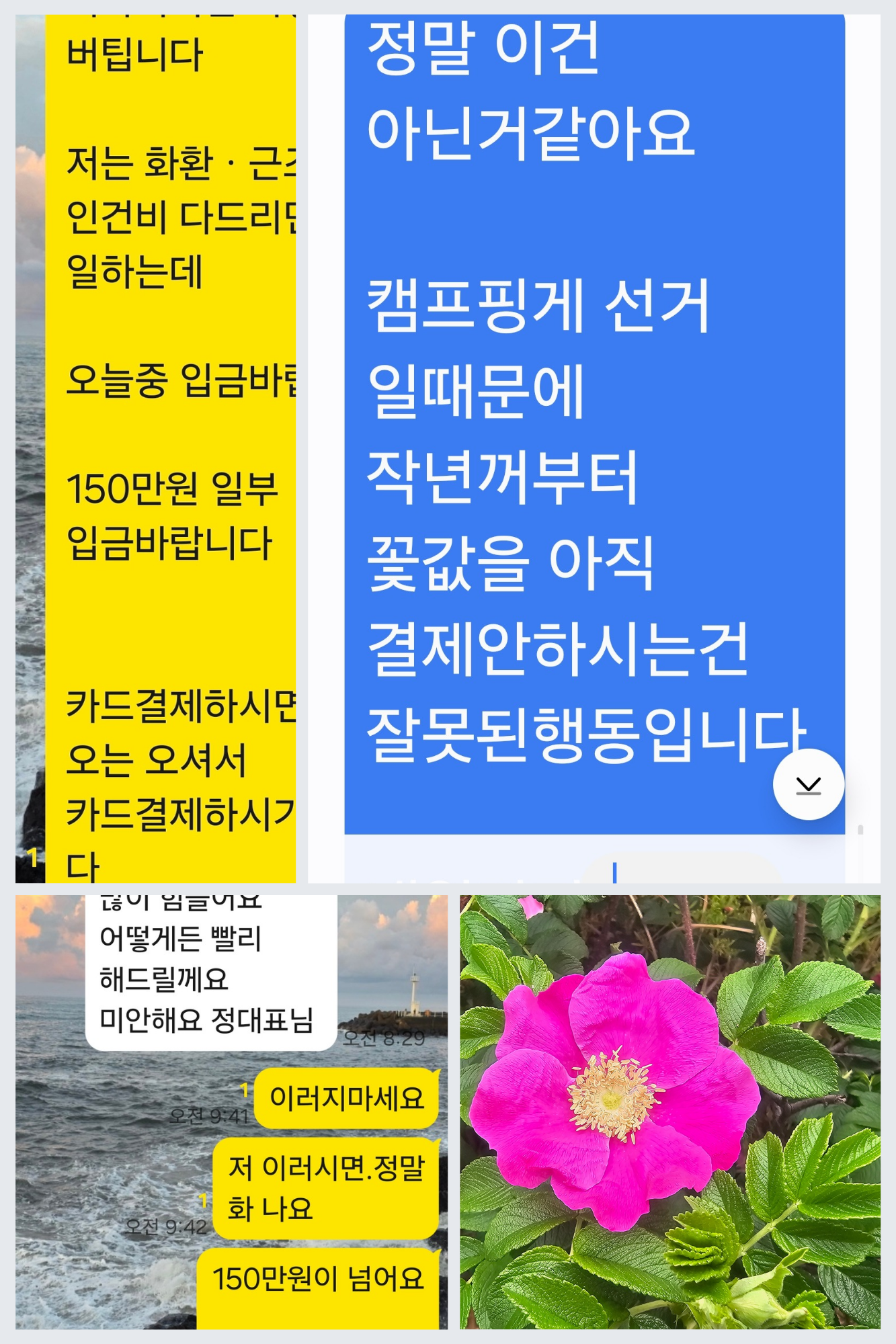 소상공인의 절규! “나도 해당화처럼 예쁘게 웃고 싶어요. 누구를 위한 선거인가!”